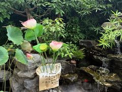 -观宴·品质赣菜(高新大道店)