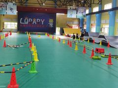 -长春乐奇平衡车儿童体能运动中心