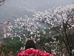 -妙峰山风景名胜区