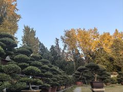 -水绘园