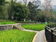 -龙头寺公园