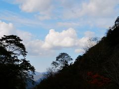 -青峰峡国家森林公园