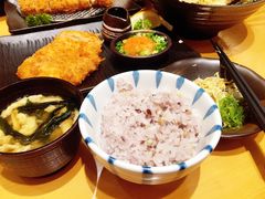 -胜博殿日式炸猪排(西红门店)