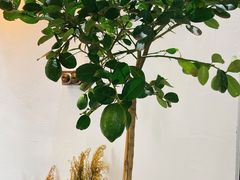 -Kekimatata 生日蛋糕·烘焙教学