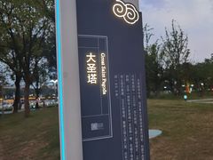 -葛仙湖公园