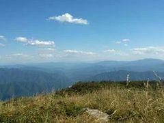 -牛背梁国家森林公园
