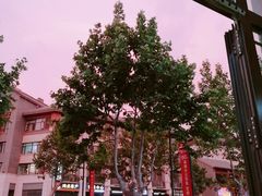 -宝龙广场(蓬莱区)