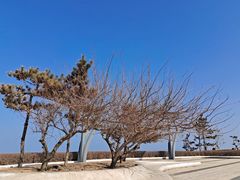 -烟台金沙滩海滨公园