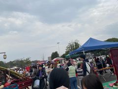 -八大山人梅湖景区