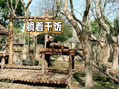 -上海野生动物园