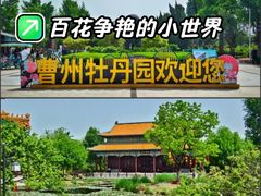 -曹州牡丹园