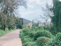 -漳州滨海火山岛自然生态风景区