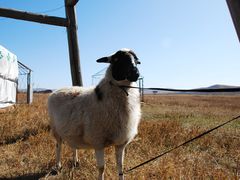 -塞罕坝国家级自然保护区