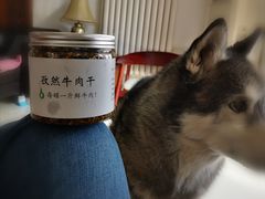 -大益烤鸡
