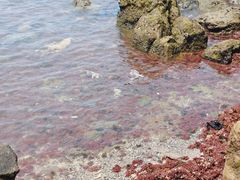 -石螺口海滩