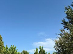 -君乐宝优致牧场