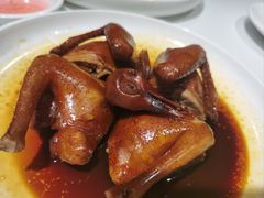 瑞士汁乳鸽-侨美·唐荔园·40年地道粤菜