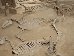 -洛阳周王城天子驾六博物馆