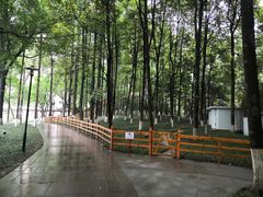 -温江公园