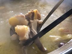 -15年老字号鑫鑫猪肚鸡·椰子鸡海南火锅(兴隆华侨农场店)