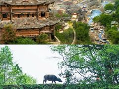 -篁岭景区