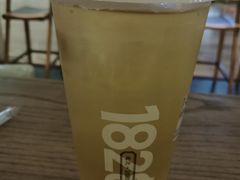 -1828王老吉·草本新茶(珠江新城地铁站店)