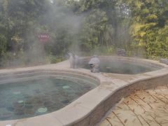 -中家鑫园温泉酒店鑫悦汤泉