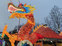 -南宫五洲植物乐园
