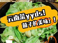 -雀舞云南菜(天津天河城购物中心店)