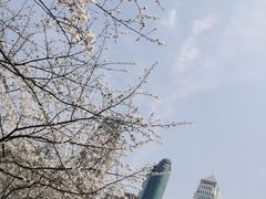 -西北湖绿化广场