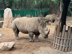 -北京野生动物园