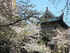 -武汉大学-樱园