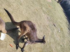 -南京金牛湖风景区