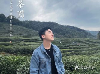 杭州茶园 | 西湖明前龙井