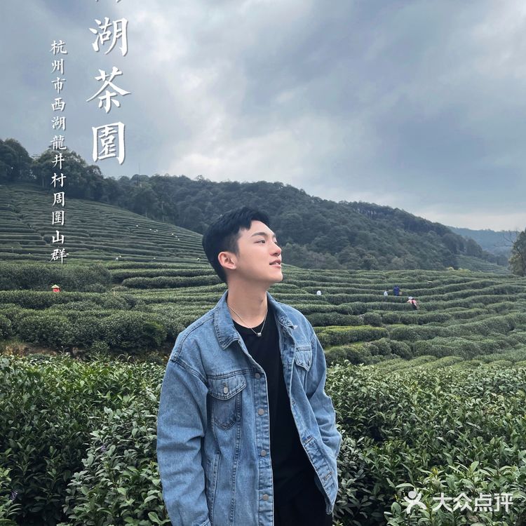 杭州茶园 | 西湖明前龙井