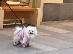 -瑞虹新天地月亮湾