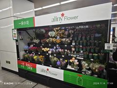 -角门西(地铁站)