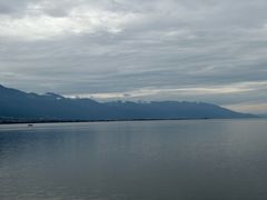 -野菌皇海景野生菌火锅(滨海大道店)