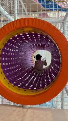 -奈尔宝家庭中心·亲子餐厅(华采天地店)