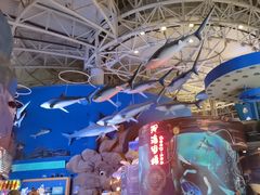 -烟台海昌鲸鲨海洋公园