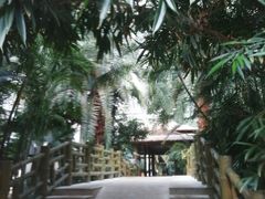 -龙达温泉生态城
