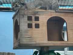 -青藏高原野生动物园