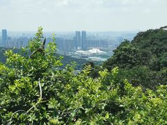 景点-岳麓山风景名胜区