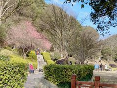 -桃花岭景区