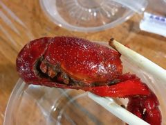 -五七小李子油焖大虾(总店)