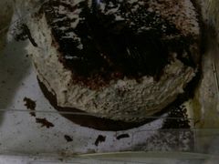 -津乐园(芥园道店)