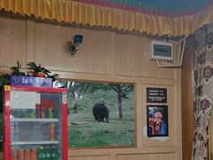 -银同牦牛肉火锅