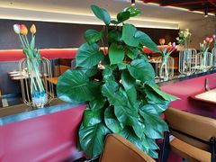 -四川饭店(长白店)