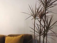 -海底捞火锅(九霄梦天地店)