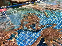 -三亚火车头万人海鲜广场